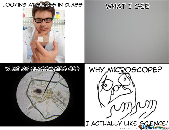 Looking at microscope slides in class; what I see: [Nothing at all], what my classmates see: [Lots of cool microscopic organisms].  Why microscope? I actually like science!
