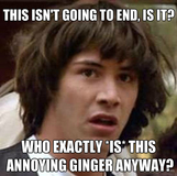 This isn't going to end, is it? Who exactly *is* this annoying ginger anyway?